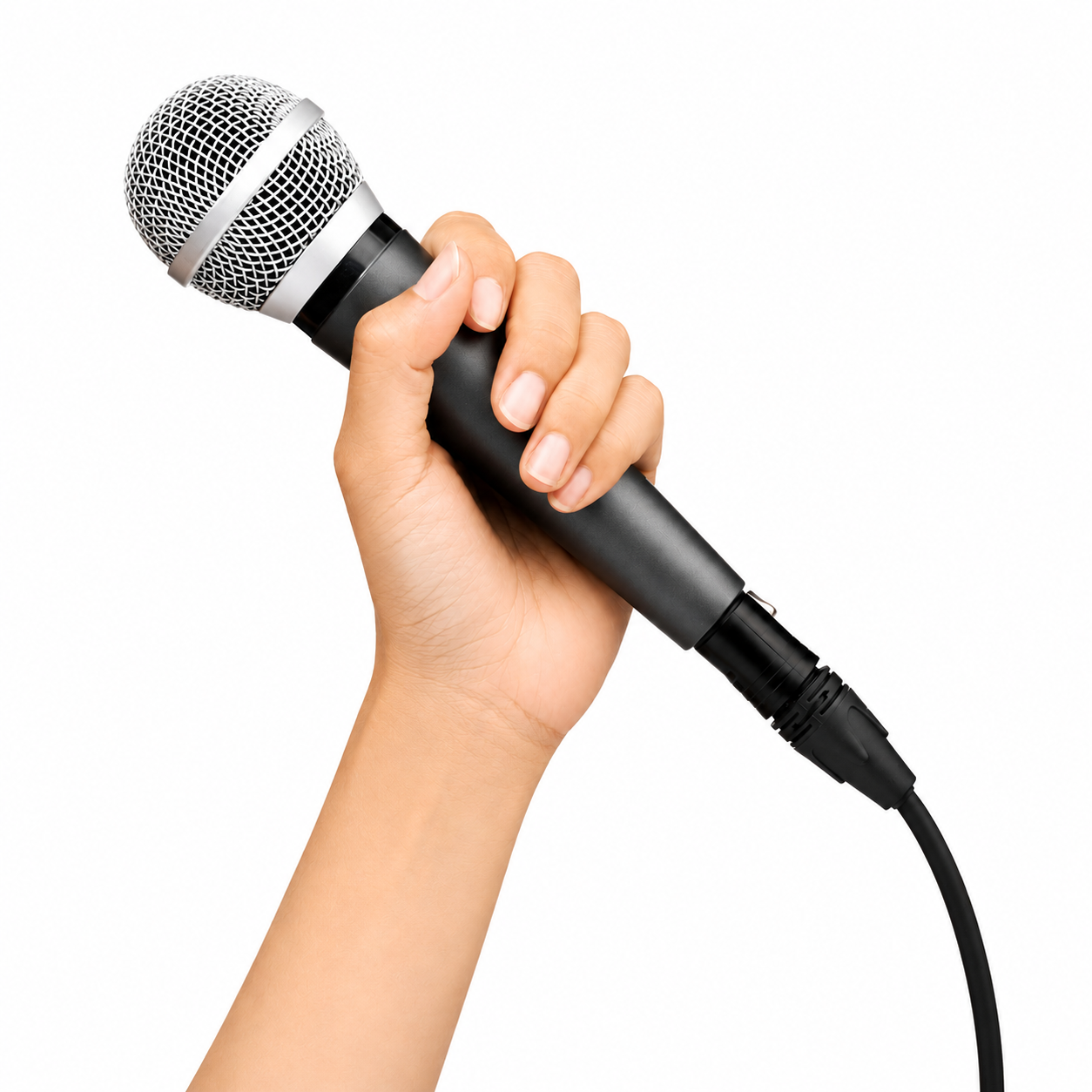 Vocal / Singing